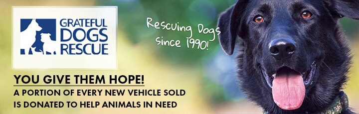Grateful Dogs Rescue.jpg