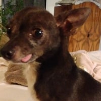 Bentley Updated copy.png