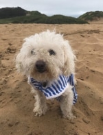 Shawn updated copy.png