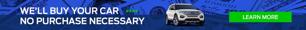 banner_cashforcar-2.jpg