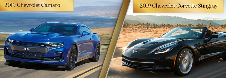 Shaganappi Performance Rides | Shaganappi Motors Ltd Shaganappi Performance Rides | Shaganappi Motors Ltd