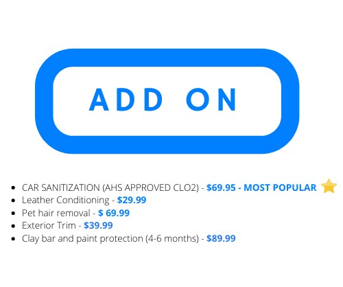 Copy of Detailing and Sanitization.png