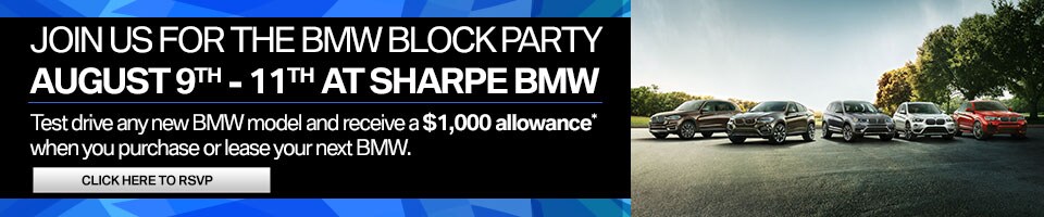 block-party-skinny-banner.jpg