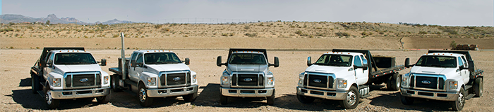 17_DSC_1351_rgbPK.png