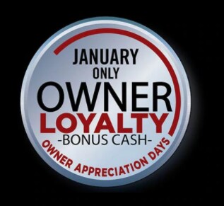 2021-01-11 11_54_31-Website Editor __ Dealer.com.png