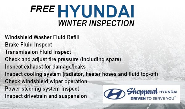 Hyundai_Winter_Inspection.jpg