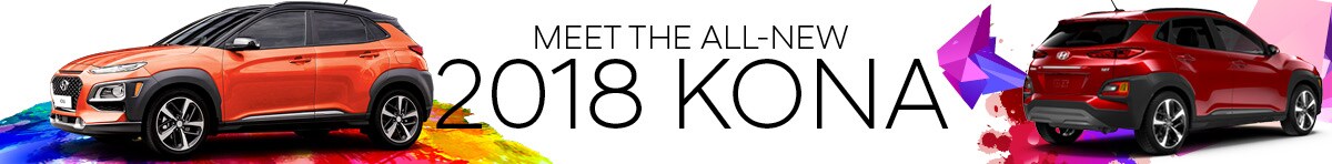2018 Kona.jpg