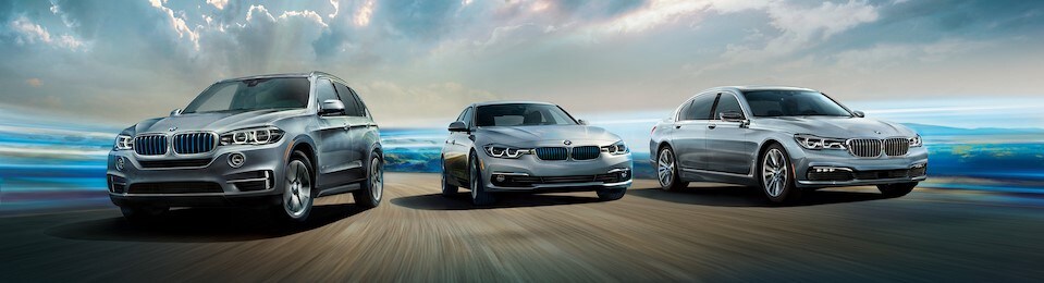 2019 BMW Lineup