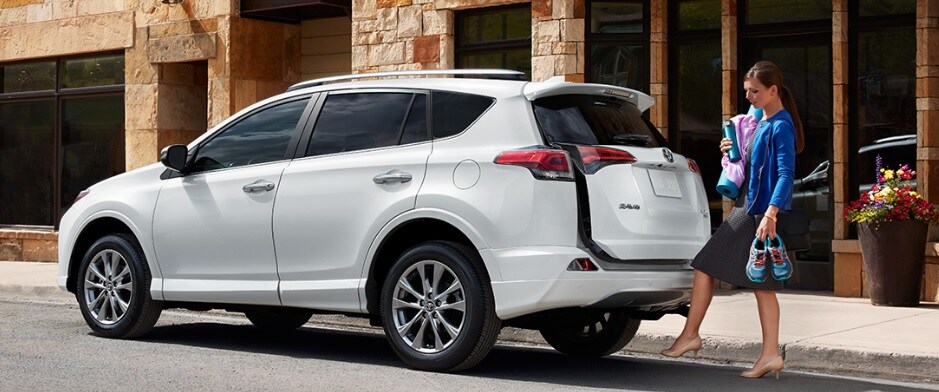 17rav4.jpg