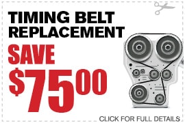 Timing Belt
