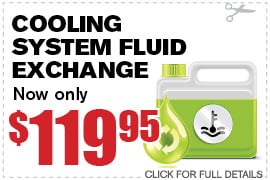 Coolant Flush & Check Up