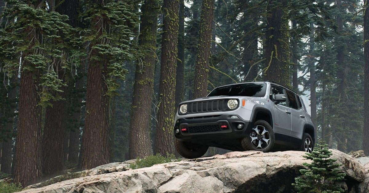 2020 Renegade Sm 1-min.jpg