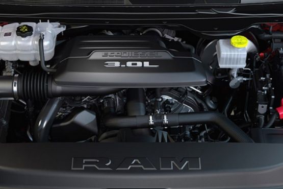 2020_RAM_SM1.jpg