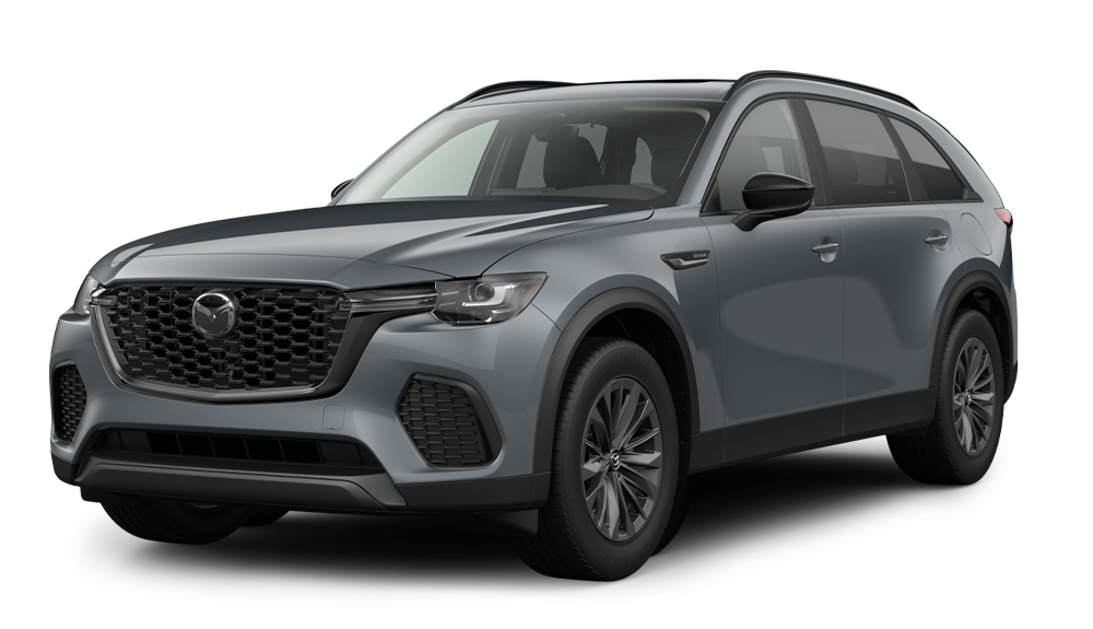 3.3 TURBO PREFERRED 3.3 TURBO PREFERRED