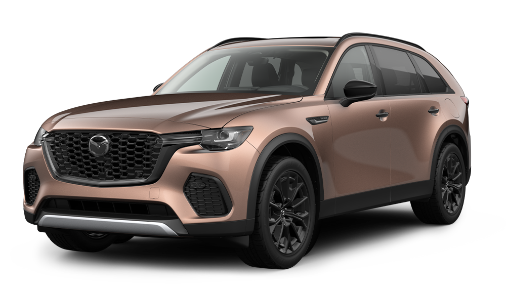 3.3 TURBO PREMIUM 3.3 TURBO PREMIUM