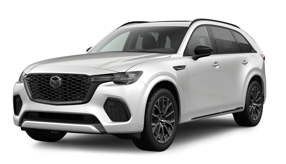 3.3 TURBO S PREMIUM 3.3 TURBO S PREMIUM