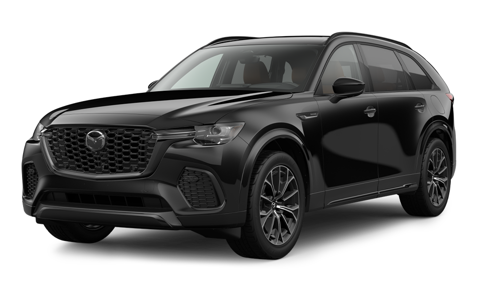 3.3 TURBO S PREMIUM PLUS 3.3 TURBO S PREMIUM PLUS