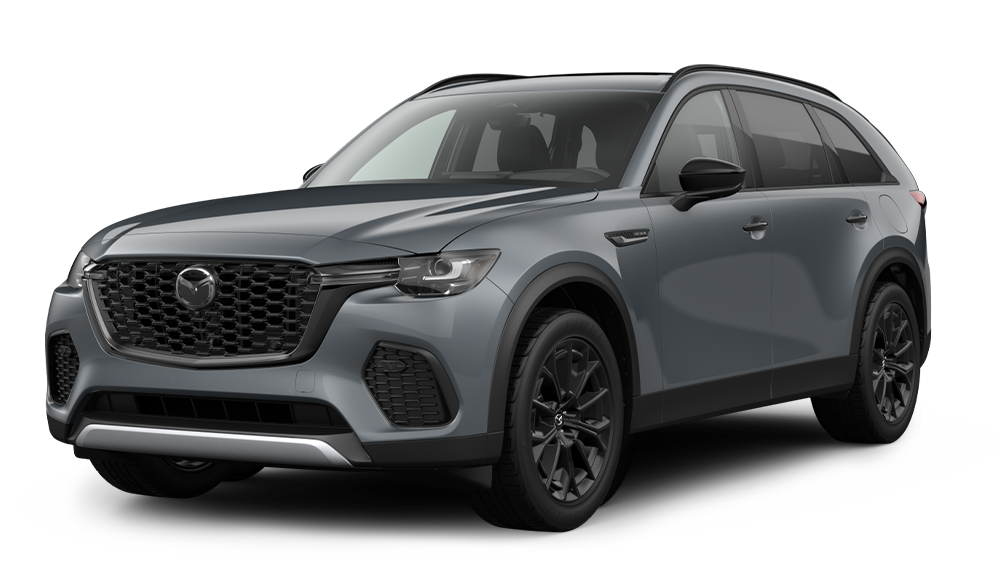 3.3 TURBO PREMIUM PLUS 3.3 TURBO PREMIUM PLUS