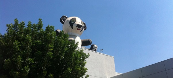 sierra-mazda-panda.jpg