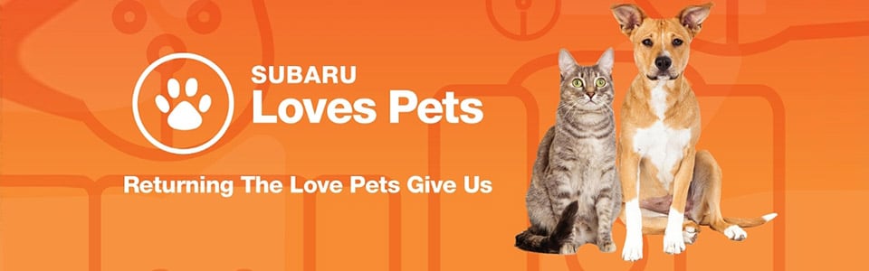 subaru-loves-pets.jpg