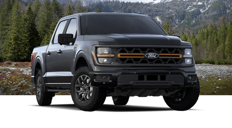 F-150 Ford Trims