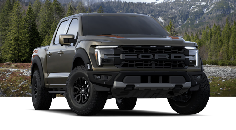 F-150 Ford Trims