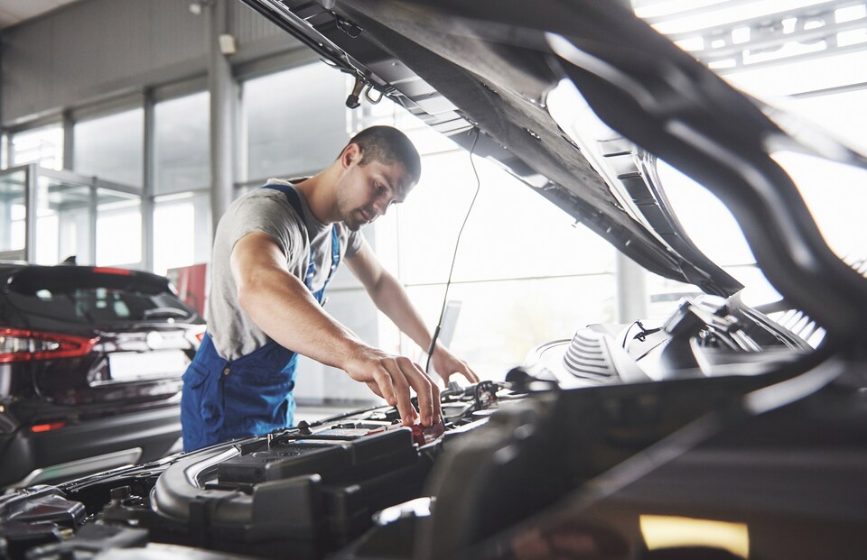 Service Header.jpg