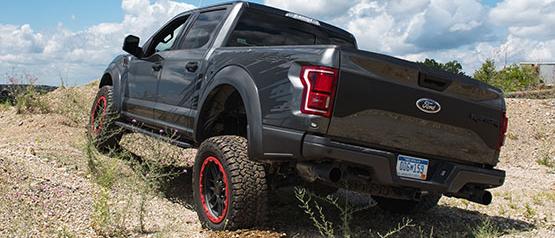 Raptor3.jpg