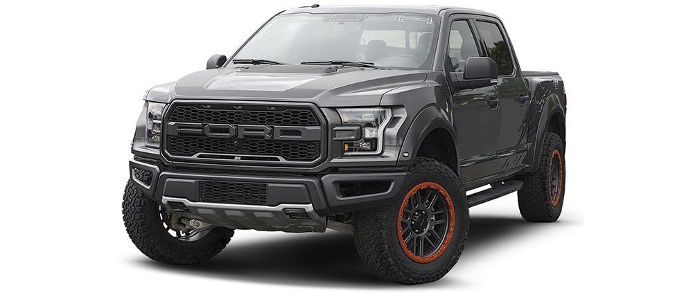 Raptor1.jpg