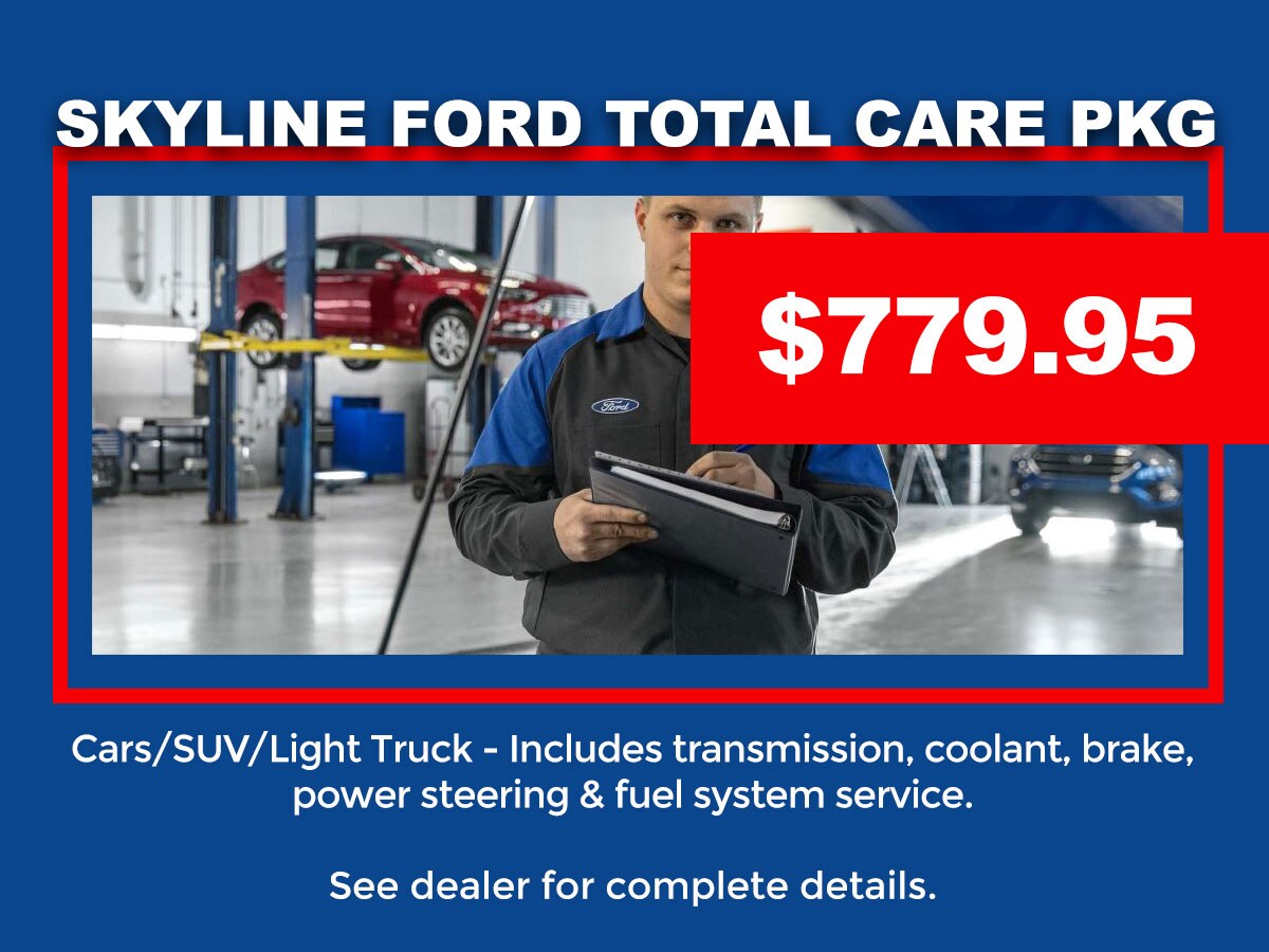SkylineFord-SPECIAL-NOV2018-SkylingFordPKG-Car.jpg