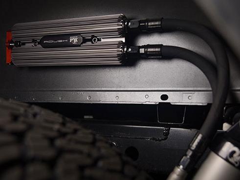 Raptor2.jpg
