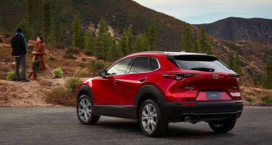 Mazda-D.jpg