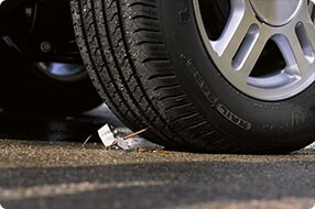 Tire Care.jpg