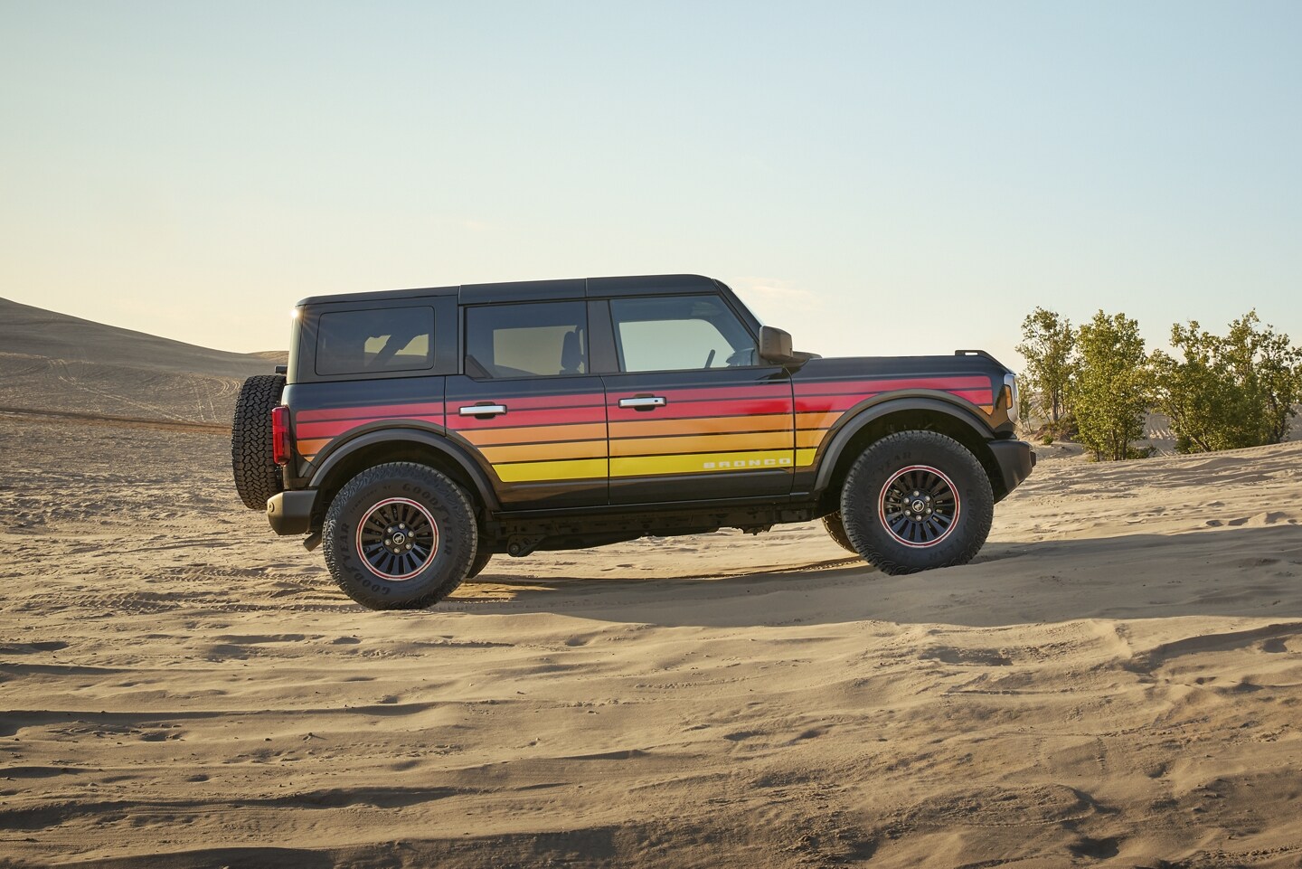 25_Bronco_Freewheeling_0609_V3.jpg