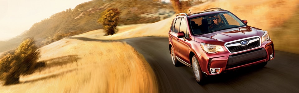 2015_Forester10.jpg