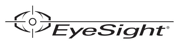 EyeSight.jpg