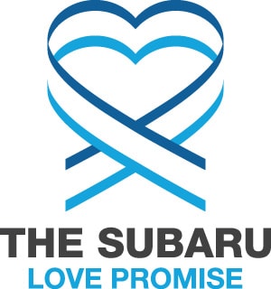 SOA_LOVE_PROMISE_LOGO_300x320.jpg