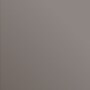 Brilliant Bronze Metallic color chip