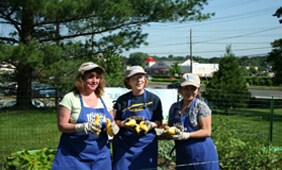 Share the love garden
