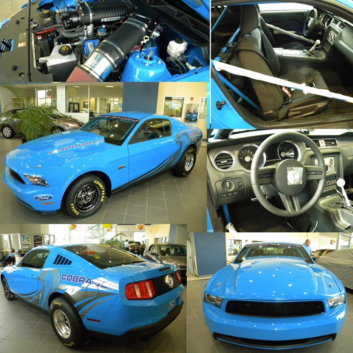 blue collage copy.png