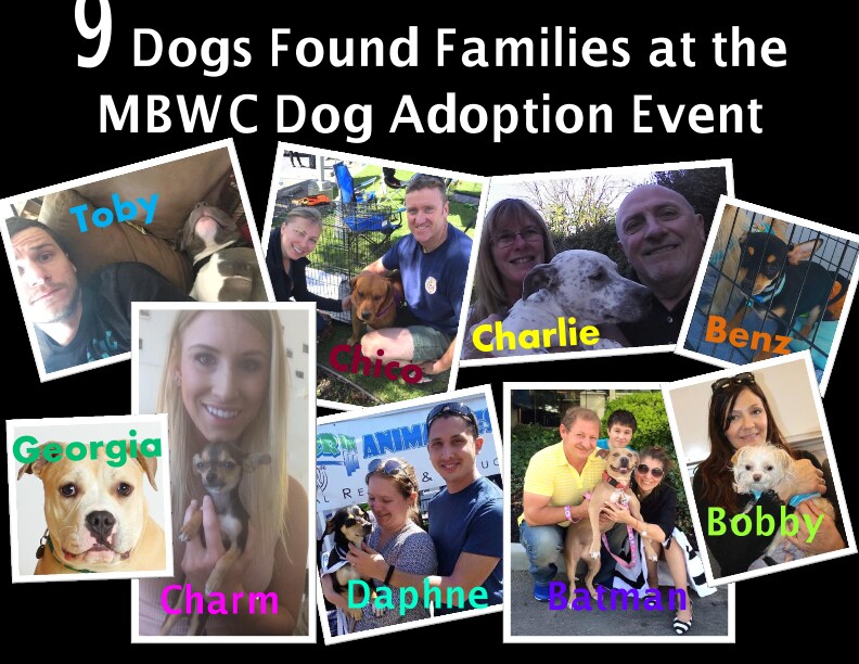 9 Adopted Dogs flyer.pdf