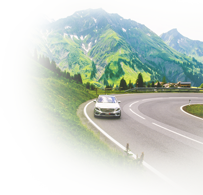 euroDeliveryProgram_midBgImage.png