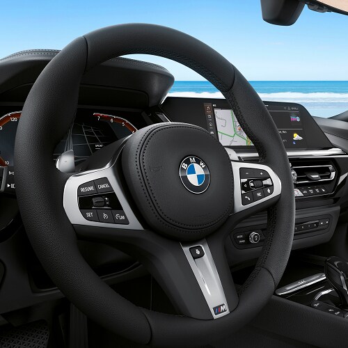 BMW Z4
Steering Wheel