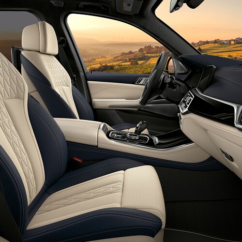 BMW X7 Driver
Interior