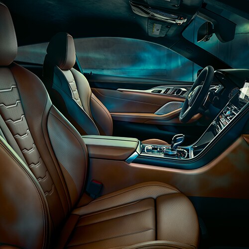 BMW 8 Series Leather Seats