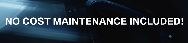BMWnocost_maintenance_banner.jpg