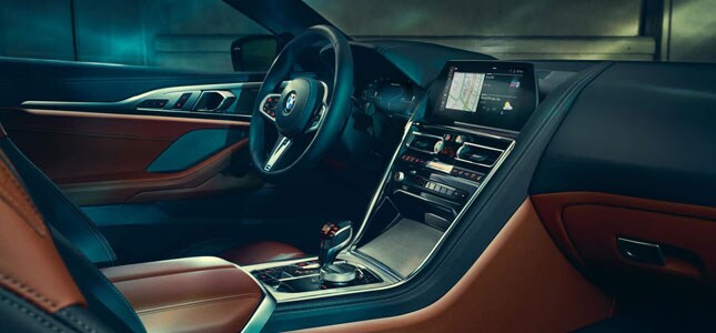 2019 BMW 8 Series