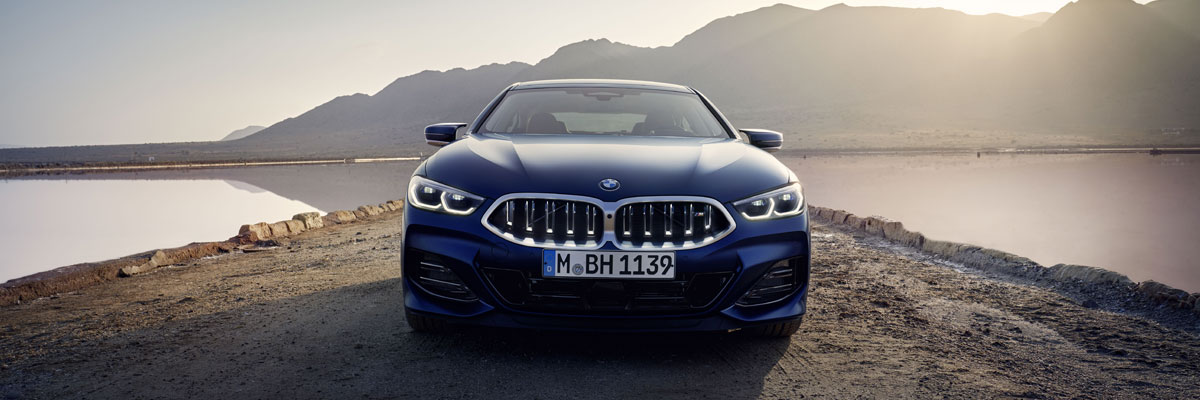 BMW 8 Series on a Fall Day