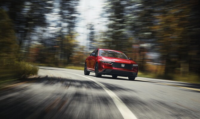 Honda Accord Red Honda Accord driving on a road in the forest