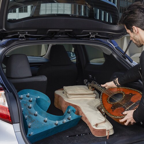Toyota C-HR
XLE Trunk